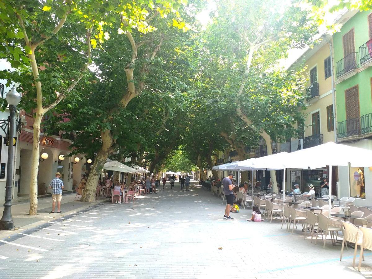 Montesol